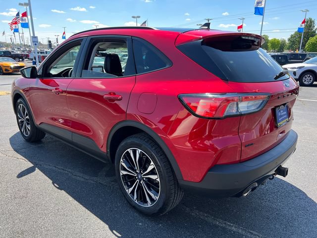 Certified 2022 Ford Escape SEL w/ SEL Stealth AWD Package image 5