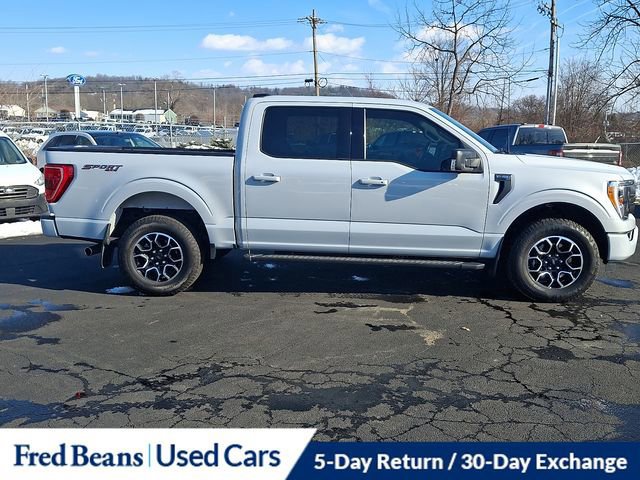 Certified 2022 Ford F150 XLT w/ Equipment Group 302A High image 9