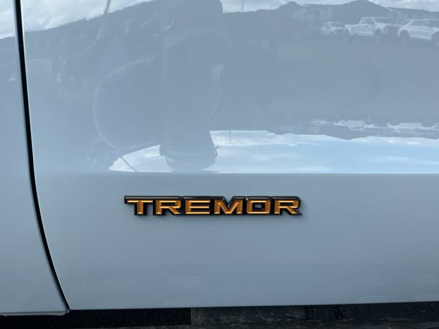 Certified 2025 Ford Expedition Tremor AWD/4WD image 21