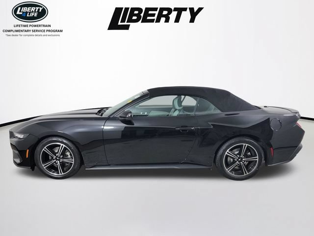 Certified 2024 Ford Mustang Premium RWD image 8