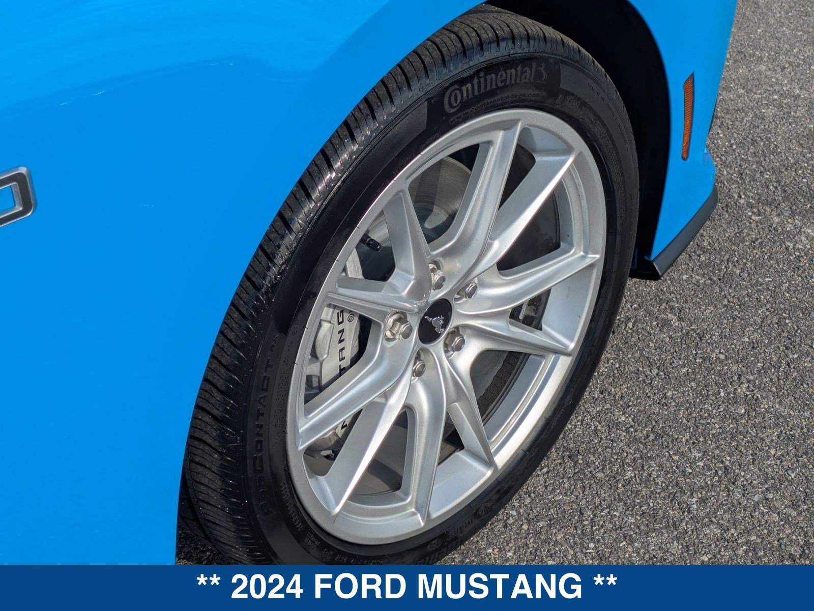 Certified 2024 Ford Mustang GT Premium image 12