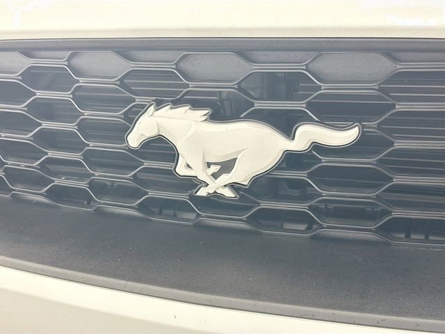 Certified 2023 Ford Mustang Premium w/ Equipment Group 201A image 25