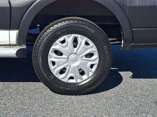 Certified 2025 Ford Transit 250 Low Roof w/ Exterior Upgrade Package RWD image 8