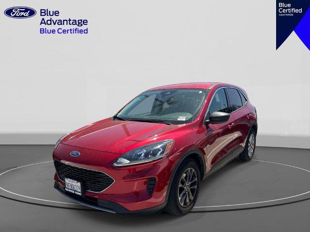 Certified 2022 Ford Escape SE w/ Convenience Package FWD image 3