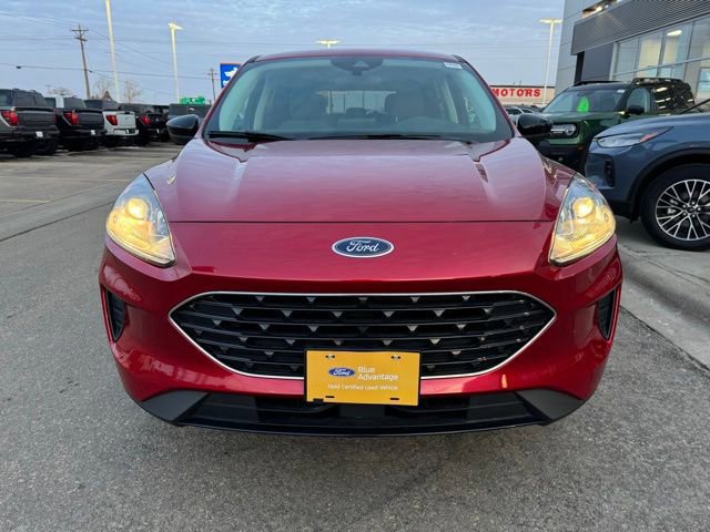 Certified 2022 Ford Escape SE w/ SE Sport Appearance Package image 6