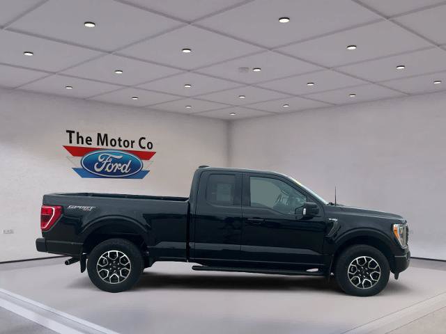 Certified 2023 Ford F150 XLT w/ Equipment Group 302A High AWD/4WD image 4