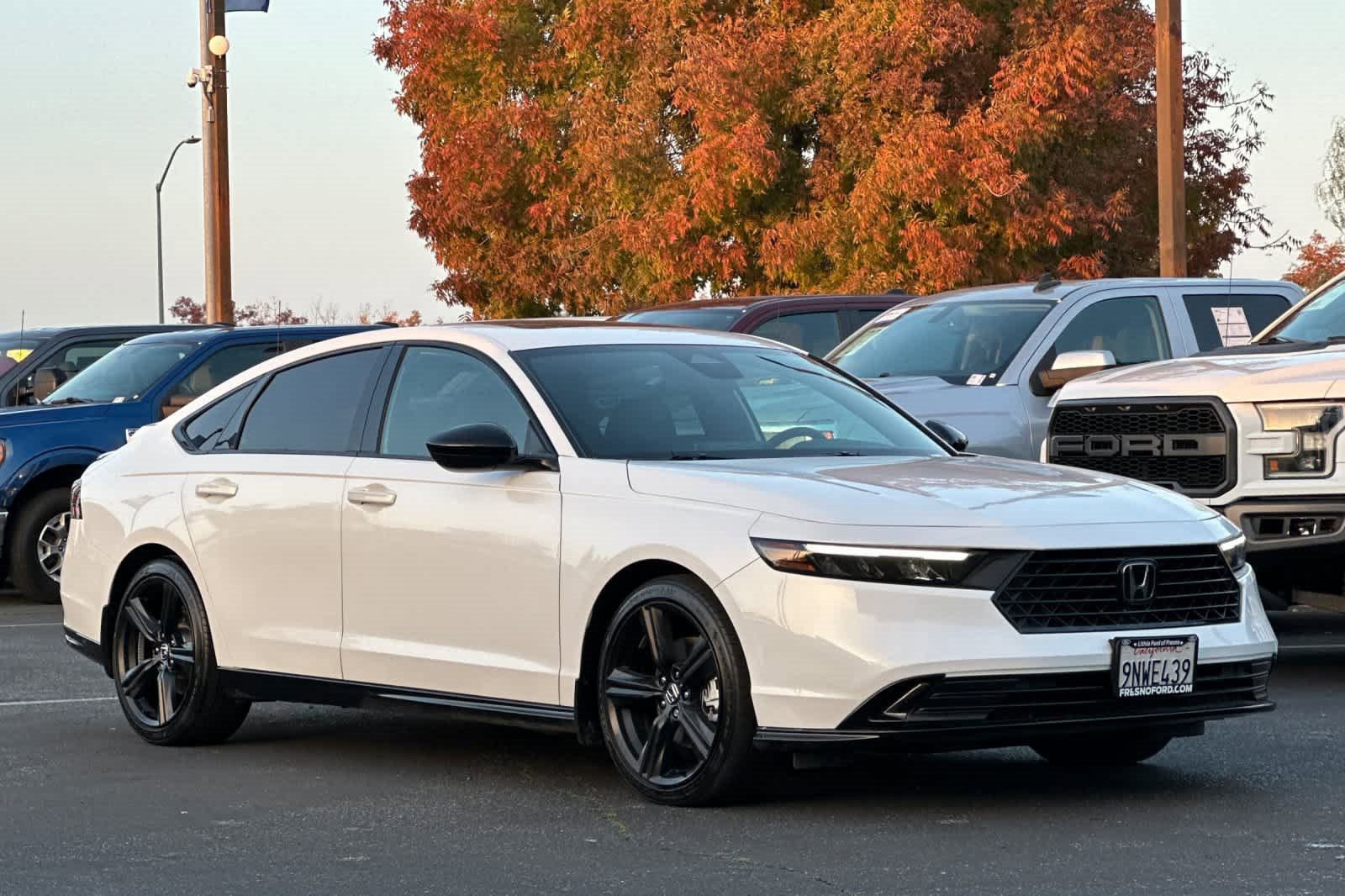 Used 2024 Honda Accord Sport image 10