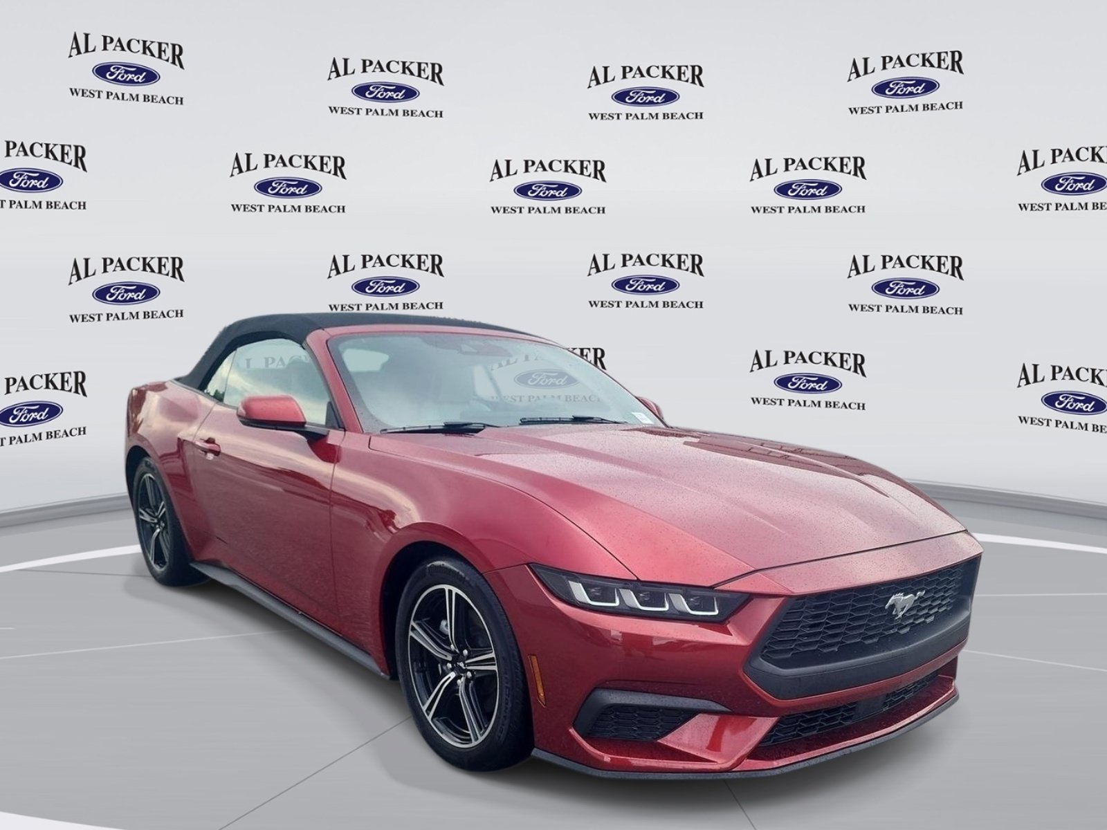 Certified 2024 Ford Mustang Premium RWD image 7
