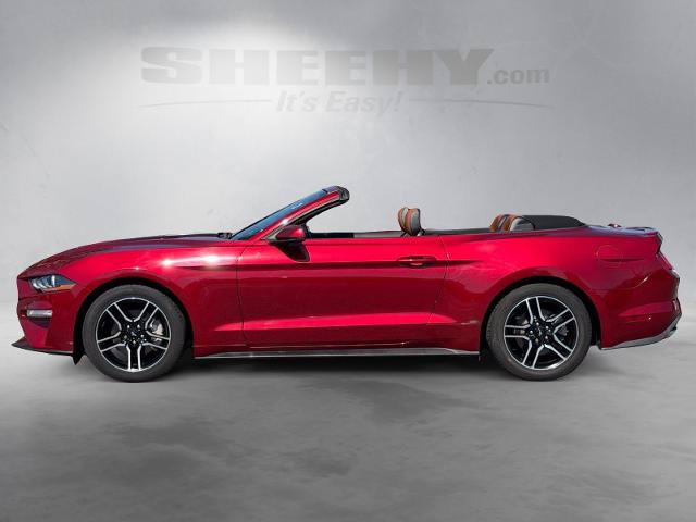 Certified 2019 Ford Mustang Premium RWD image 18