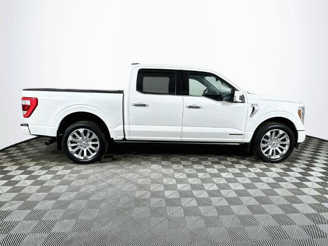 Certified 2023 Ford F150 Limited AWD/4WD image 8