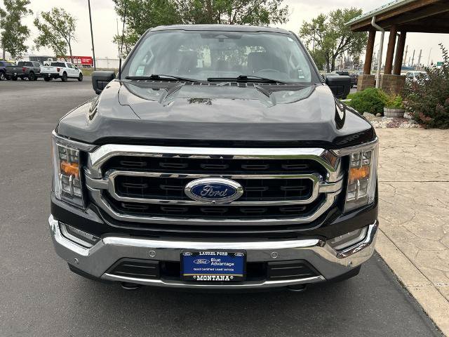 Certified 2023 Ford F150 XLT w/ Equipment Group 302A High AWD/4WD image 3