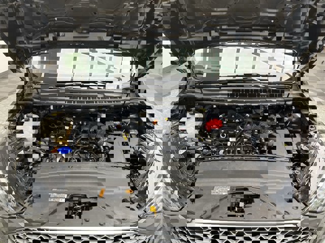 Certified 2024 Ford Edge SE w/ Cargo Accessory Package image 33