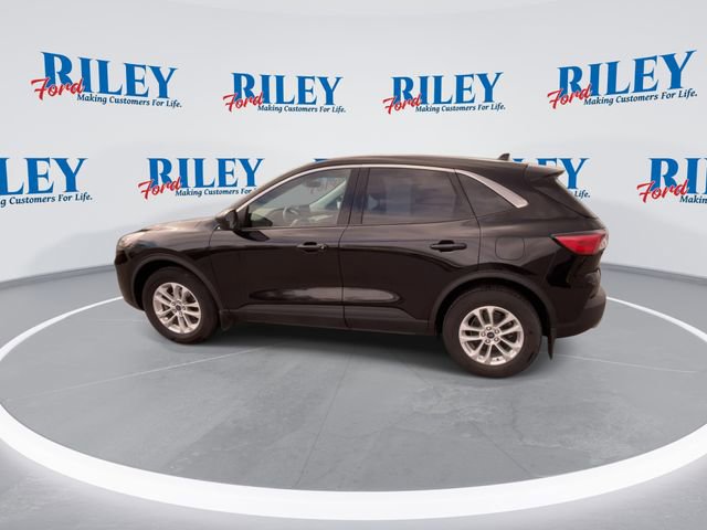 Certified 2022 Ford Escape SE w/ Cold Weather Package AWD/4WD image 6