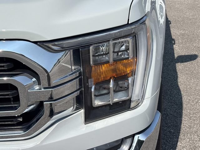 Certified 2023 Ford F150 XLT w/ Equipment Group 302A High RWD image 11