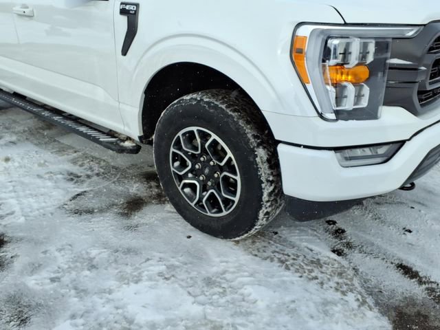 Certified 2023 Ford F150 XLT w/ Equipment Group 302A High image 6