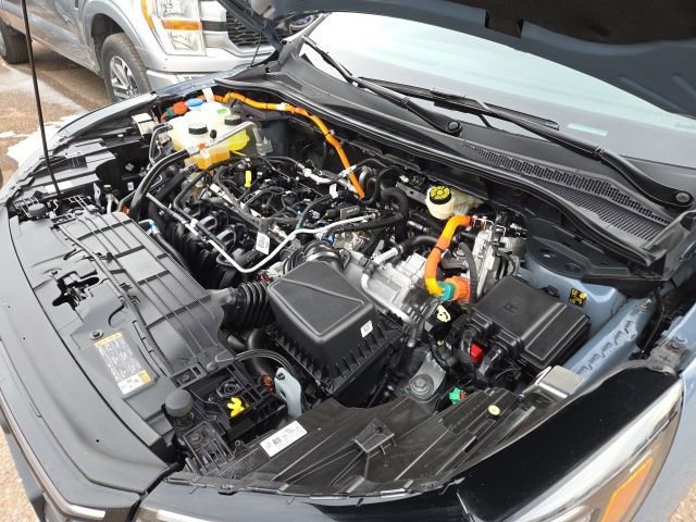 Certified 2025 Ford Escape Platinum image 14