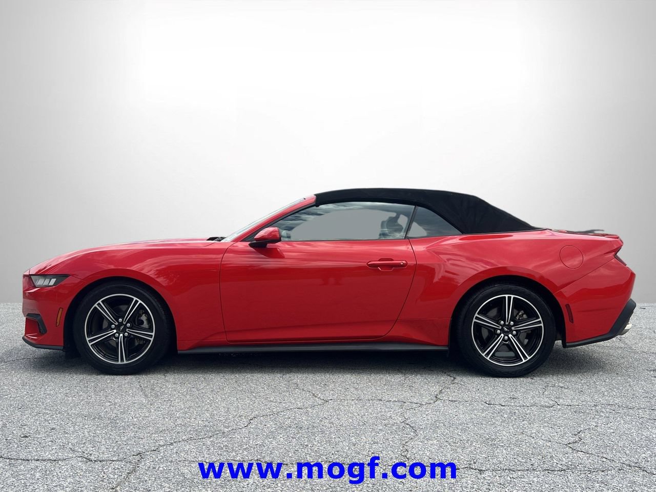 Certified 2024 Ford Mustang Premium RWD image 22