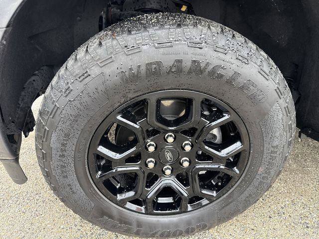 Certified 2024 Ford F150 XLT w/ Equipment Group 302A MID image 24