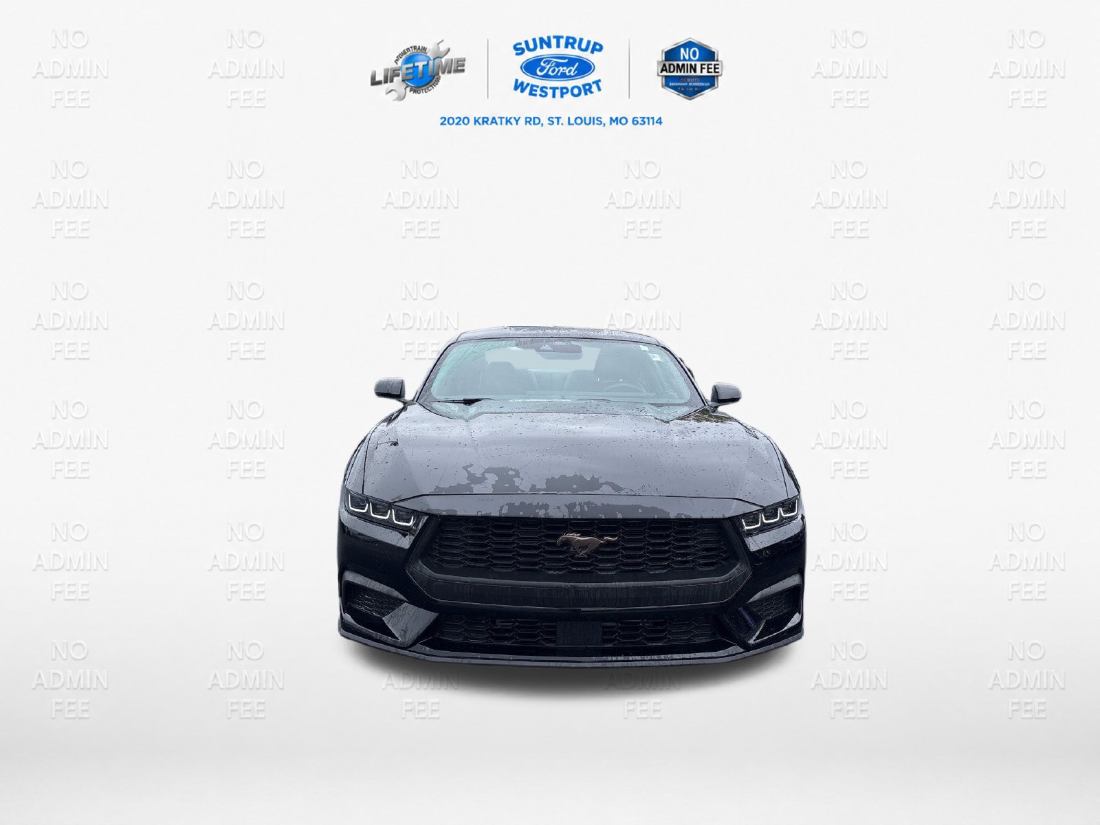 Certified 2025 Ford Mustang Premium RWD image 9