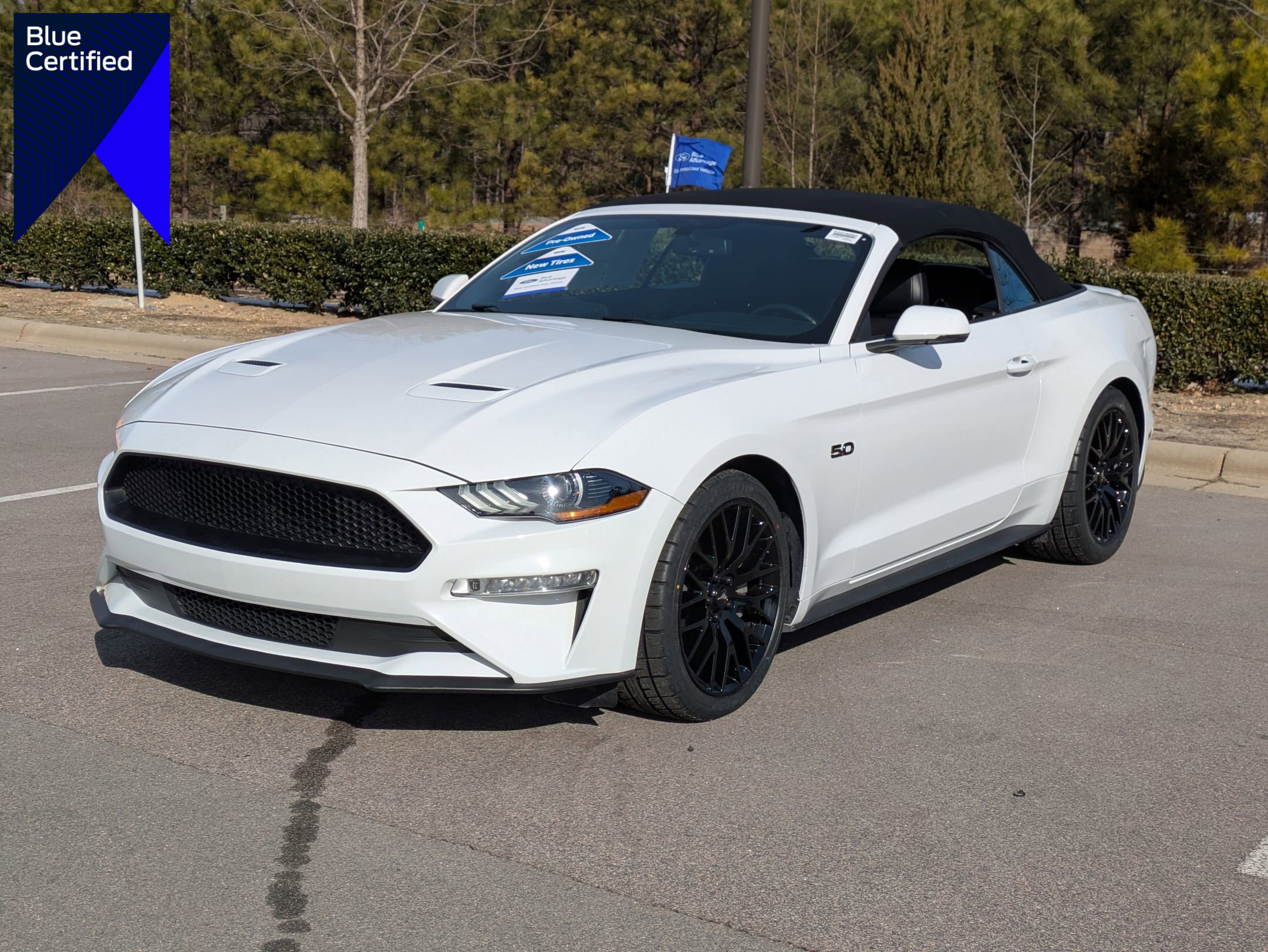 Certified 2019 Ford Mustang GT Premium w/ Equipment Group 401A