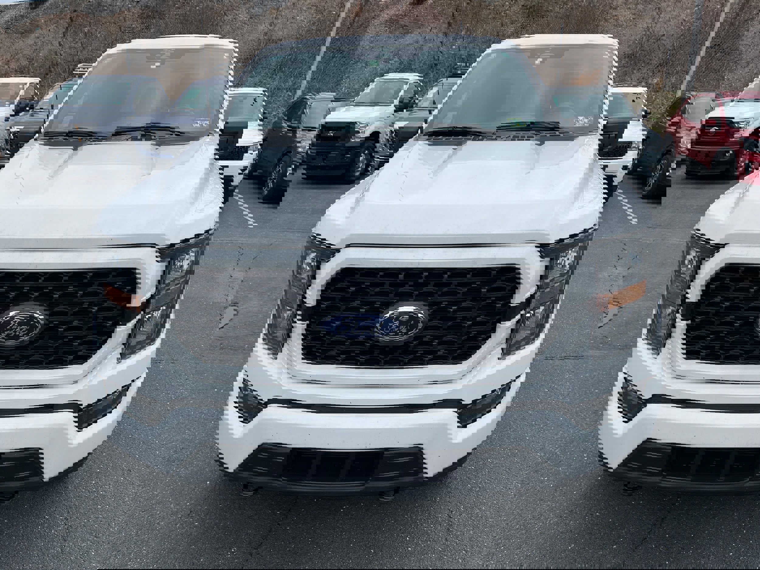 Certified 2023 Ford F150 XL w/ STX Appearance Package image 7