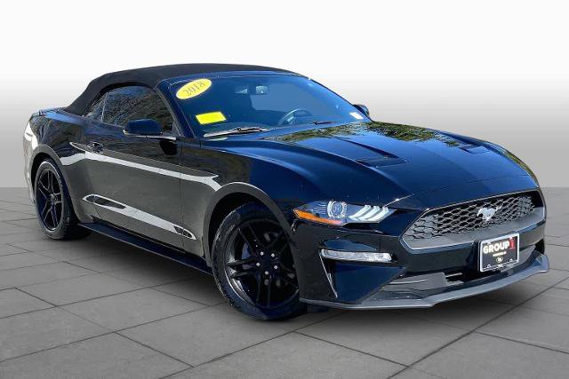 Certified 2018 Ford Mustang Premium w/ Equipment Group 201A RWD image 3