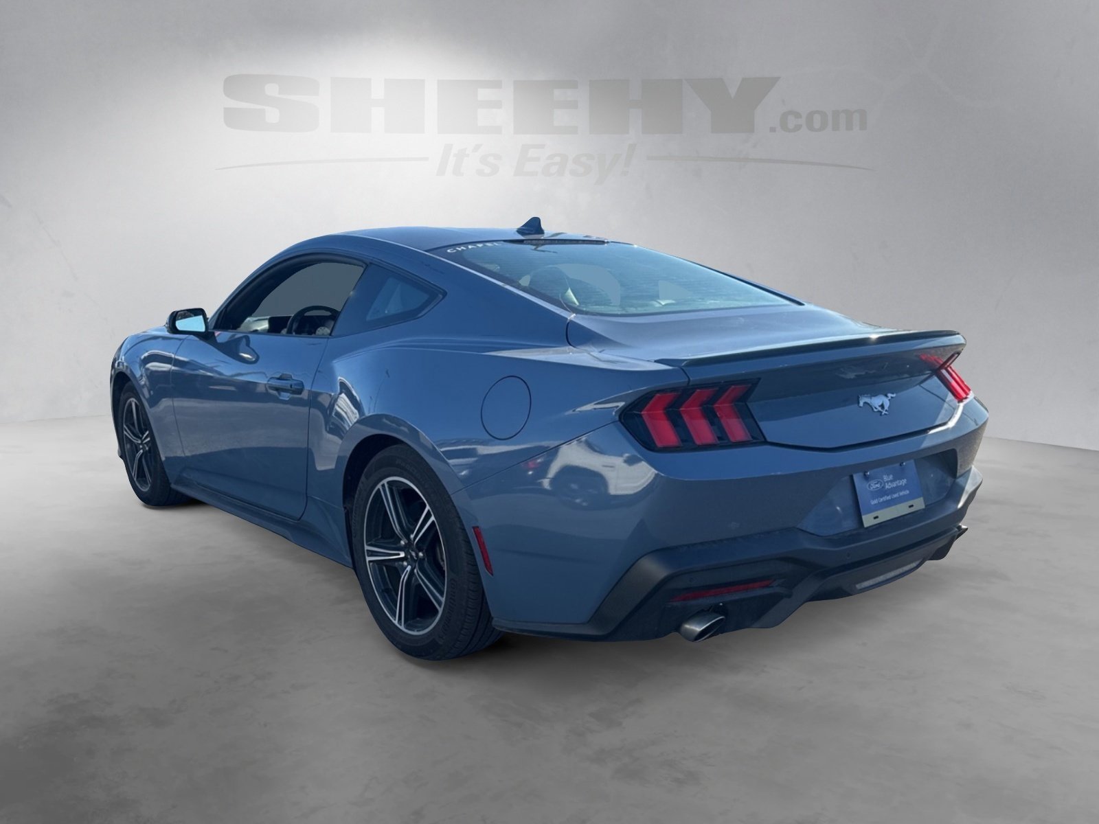 Certified 2024 Ford Mustang Premium image 3