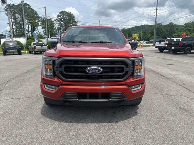 Certified 2023 Ford F150 XLT w/ Equipment Group 302A High AWD/4WD image 4