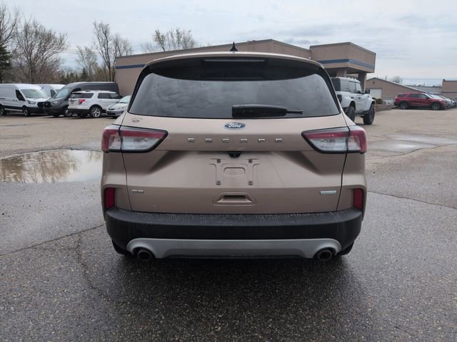 Certified 2020 Ford Escape SE image 4