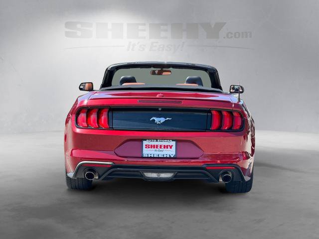 Certified 2019 Ford Mustang Premium RWD image 16