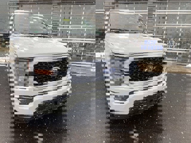 Certified 2023 Ford F150 XL w/ STX Appearance Package image 5