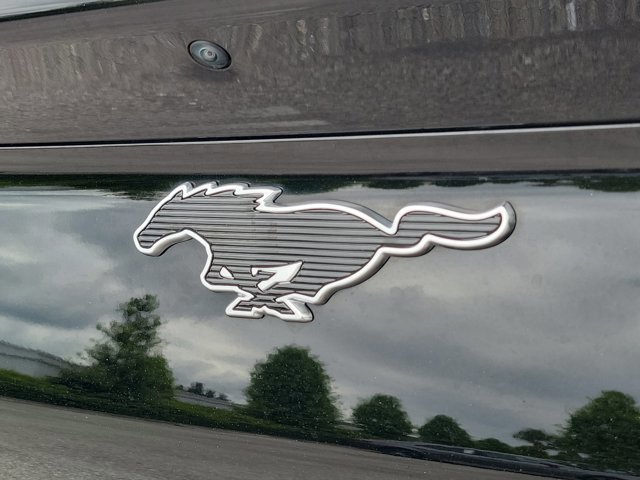Certified 2025 Ford Mustang Mach-E Select RWD image 14