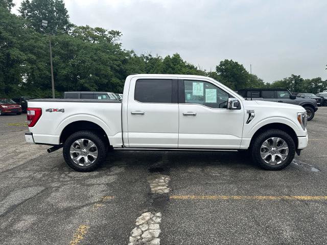 Certified 2023 Ford F150 Platinum w/ Equipment Group 701A High AWD/4WD image 4