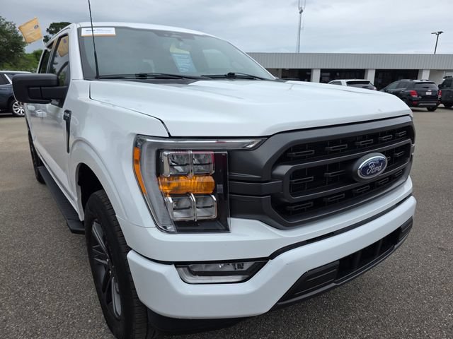 Certified 2023 Ford F150 XLT w/ Equipment Group 302A High RWD image 2