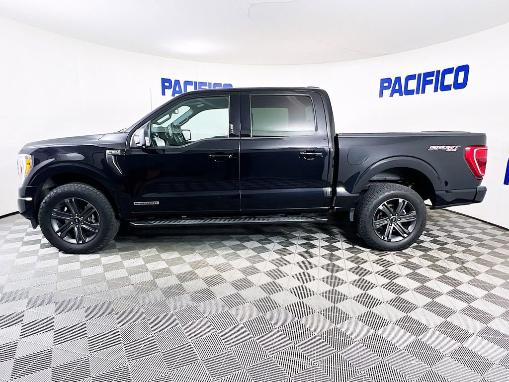 Certified 2023 Ford F150 XLT w/ Equipment Group 302A High AWD/4WD image 5