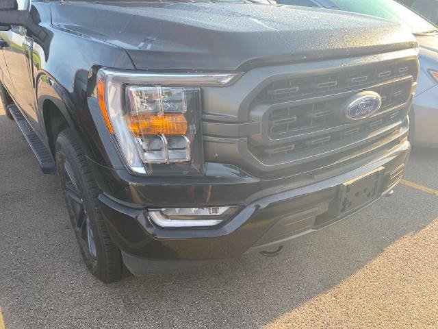 Certified 2023 Ford F150 XLT w/ Equipment Group 302A High AWD/4WD image 3