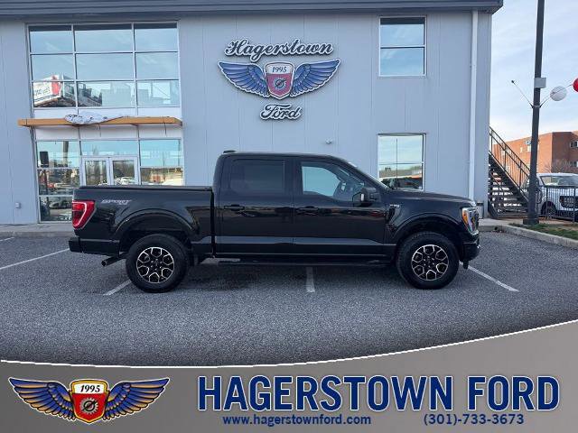 Certified 2023 Ford F150 XLT w/ Equipment Group 302A High image 6