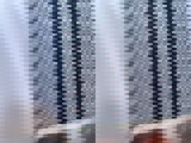 Certified 2024 Ford F150 Raptor image 8