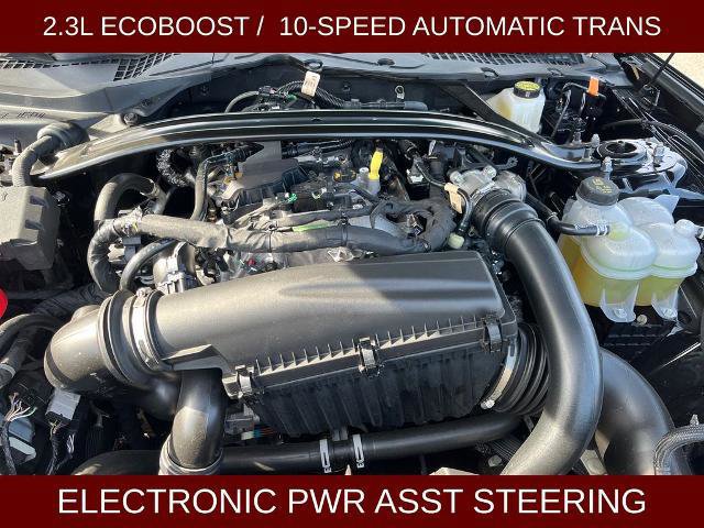 Certified 2025 Ford Mustang Premium image 12