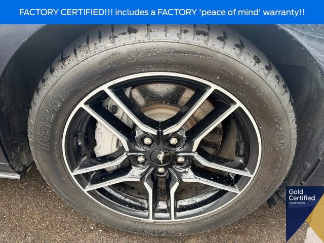 Certified 2021 Ford Mustang GT RWD image 7