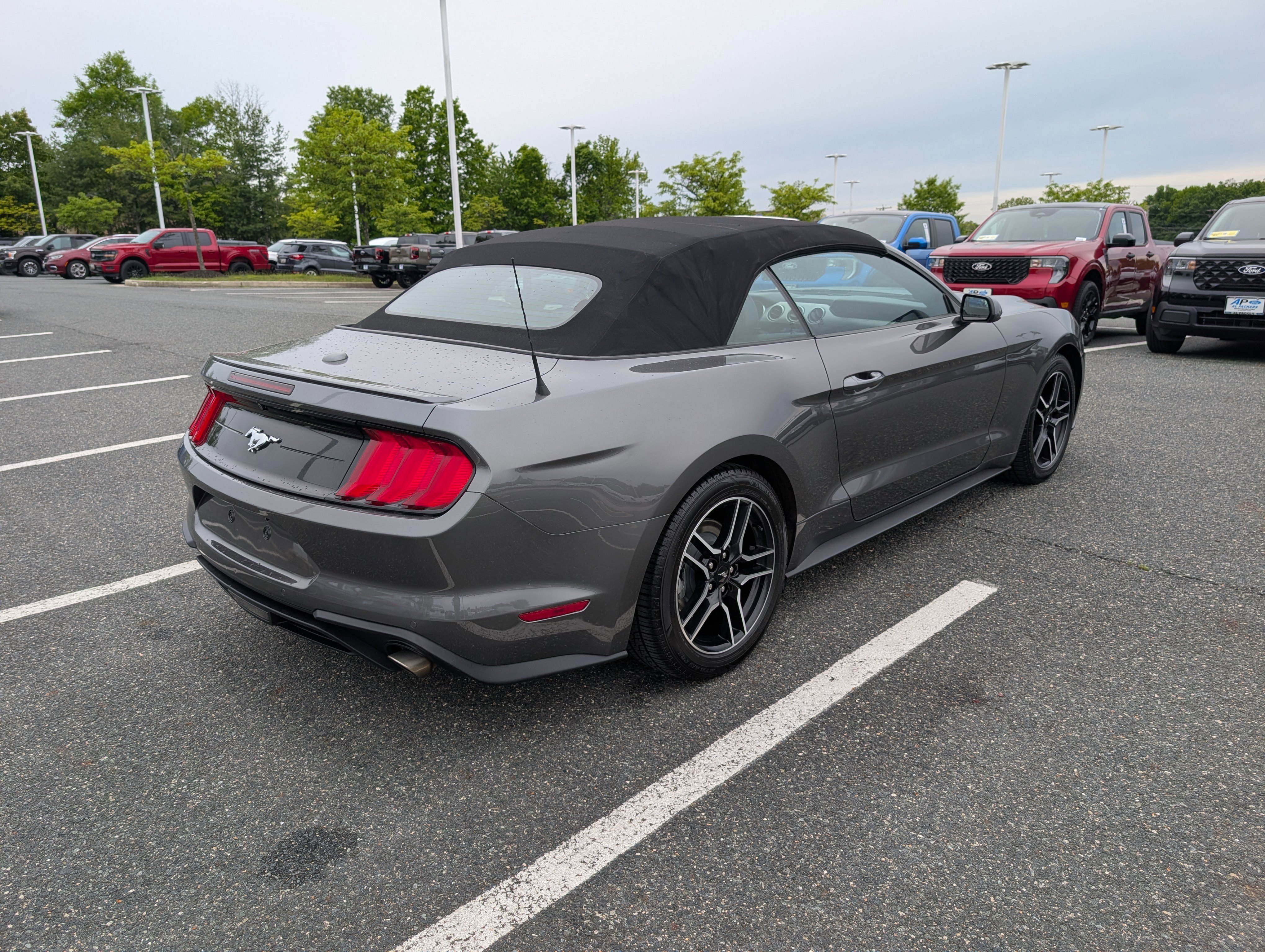 Certified 2023 Ford Mustang Premium RWD image 3