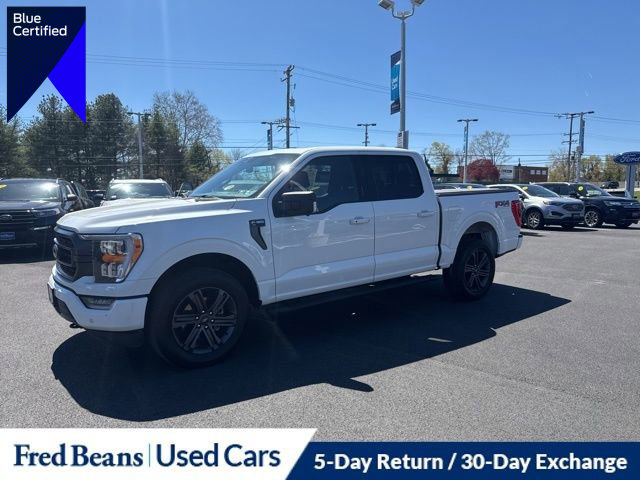 Certified 2023 Ford F150 XLT w/ Equipment Group 302A High image 1