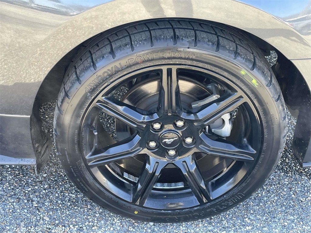 Certified 2019 Ford Mustang GT w/ Black Accent Package image 9