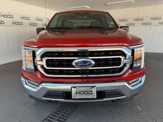 Certified 2023 Ford F150 XLT w/ Equipment Group 302A High AWD/4WD image 25