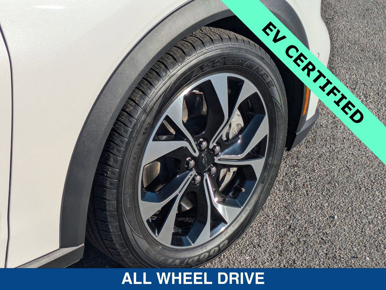 Certified 2024 Ford Mustang Mach-E Select image 13