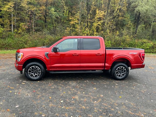 Certified 2023 Ford F150 XLT w/ Equipment Group 302A High image 6