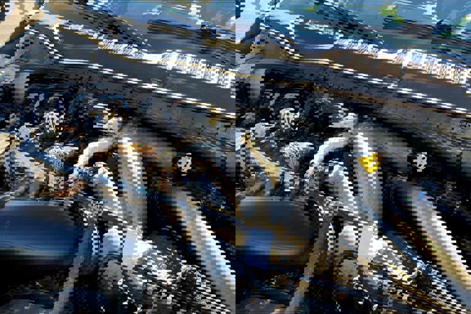 Certified 2022 Ford F250 Limited w/ FX4 Off-Road Package image 30