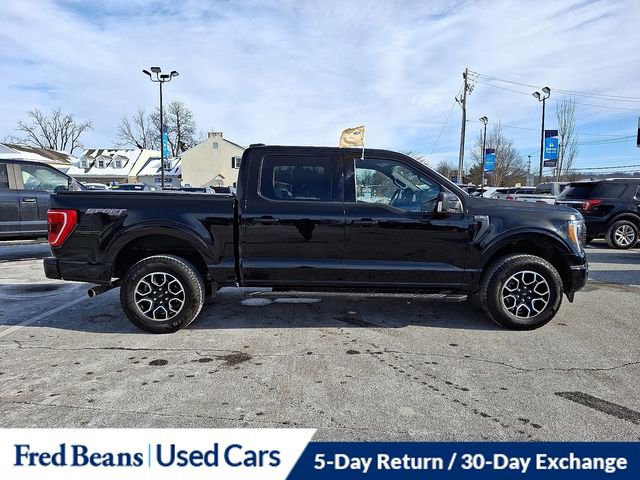 Certified 2023 Ford F150 XLT w/ Equipment Group 302A High image 14