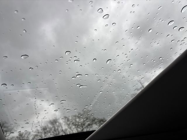 Certified 2025 Ford Expedition Active image 15