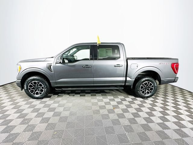 Certified 2023 Ford F150 XLT w/ Equipment Group 302A High image 8
